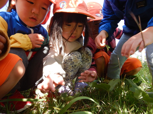 虫探しをする子ども