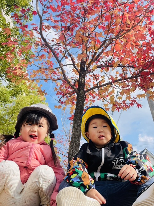 散歩先で遊ぶ子ども (5)
