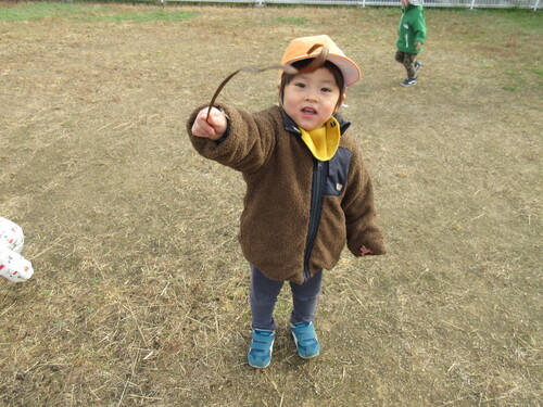 園庭で遊んでいる