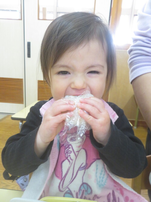 お弁当ごっこ (20)