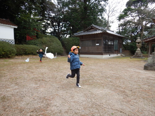 凧あげの様子 (3)