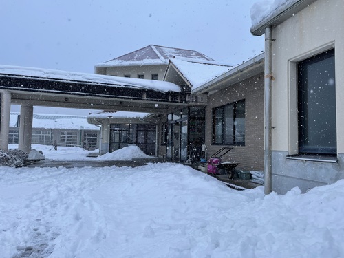 雪