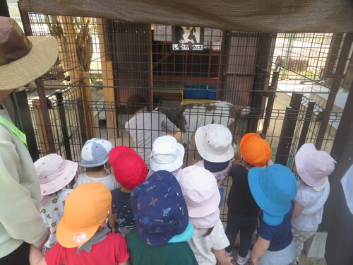 やぎと触れあう様子 (3)