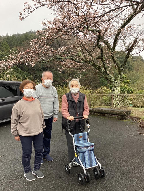 桜の前で記念撮影