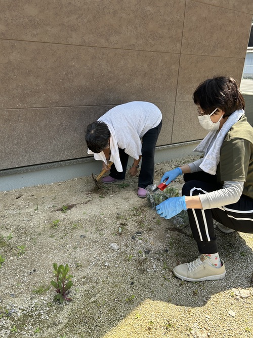 草抜き