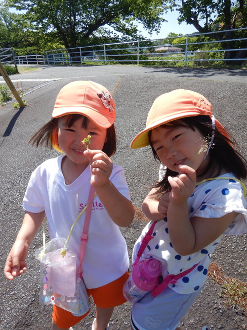 お花摘みをする子ども
