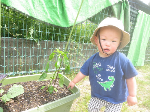 園庭遊びの様子 (5)