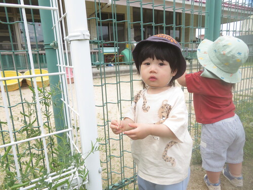 園庭あそびの様子 (4)