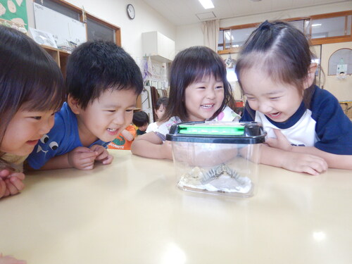 ナミアゲハを見る子ども (3)