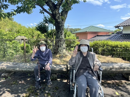 散歩しました