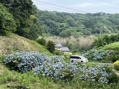 良い景色