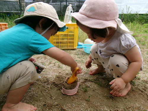 園庭遊びの様子