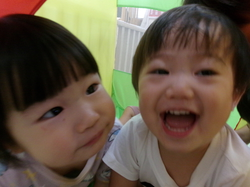 ボールハウスで遊んでいる