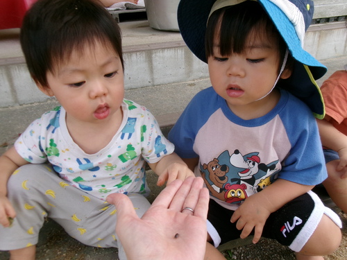 園庭遊びの様子 (5)