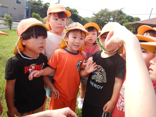 駅北公園で遊ぶ子ども (3)