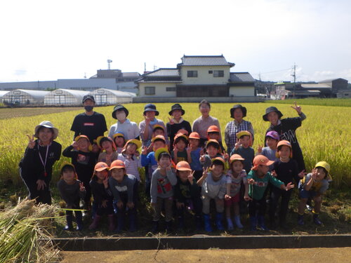 稲刈りの様子 (17)