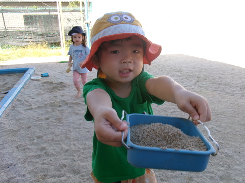 園庭遊びの様子