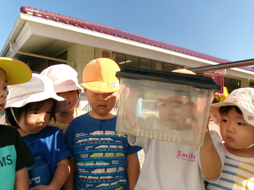 園庭あそびの様子