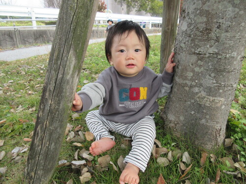 お散歩に行こう♪の様子