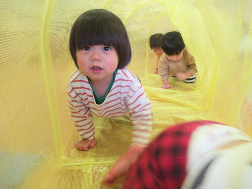 トンネルで遊んでいる