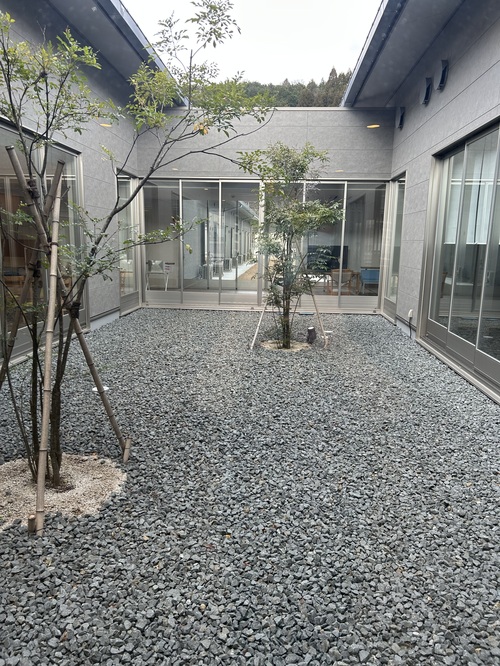 綺麗になった庭