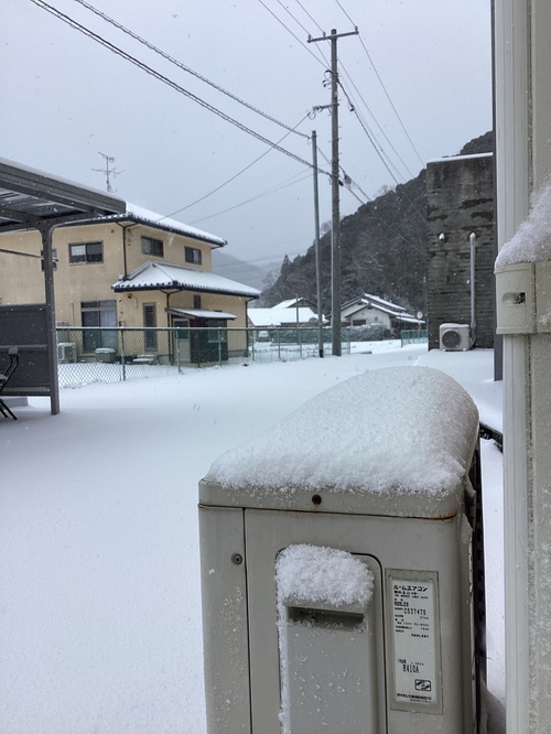 雪