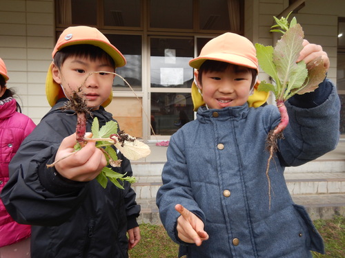 新津田かぶを見せてくれる様子