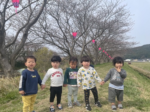 桜 (3)