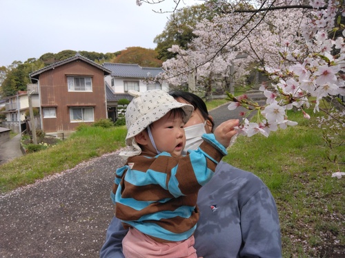 散歩の様子（3）