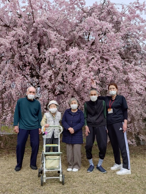 志学枝垂桜