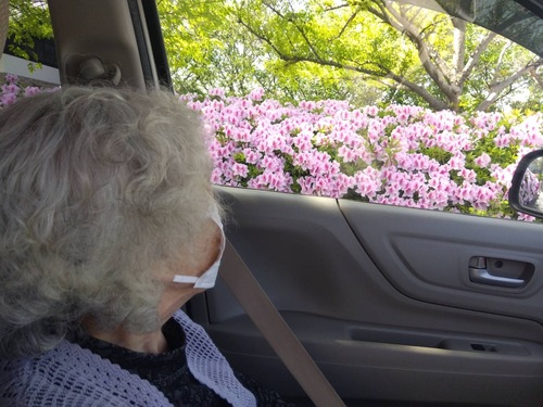 ドライブ中です