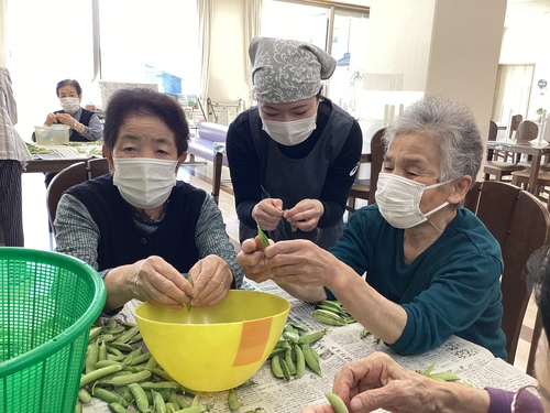 えんどう豆2