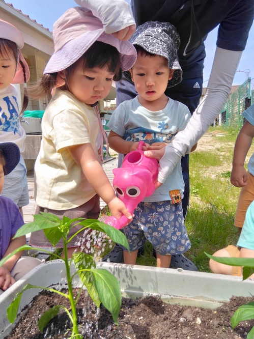 水やりをしている
