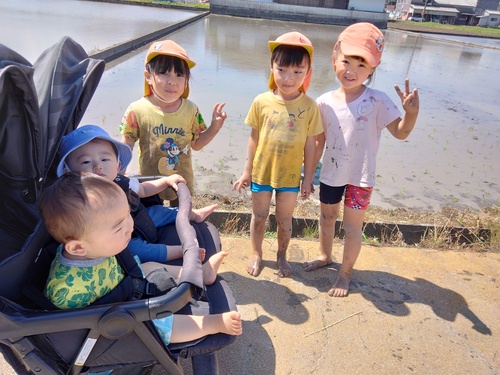 田圃を見に行った様子３