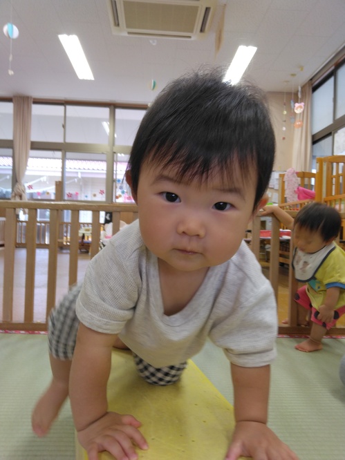 プラフォーミングで遊ぶ様子