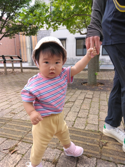 散歩の様子