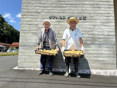 じゃがいも