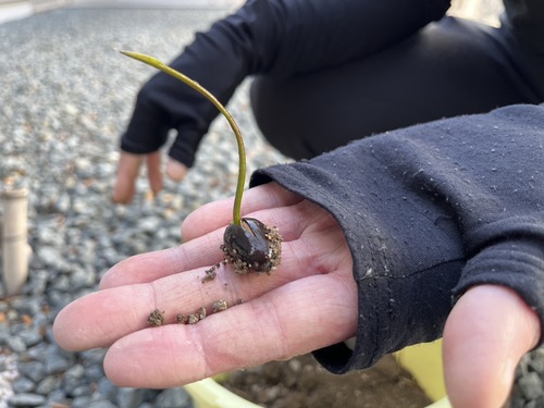 IMG_7651