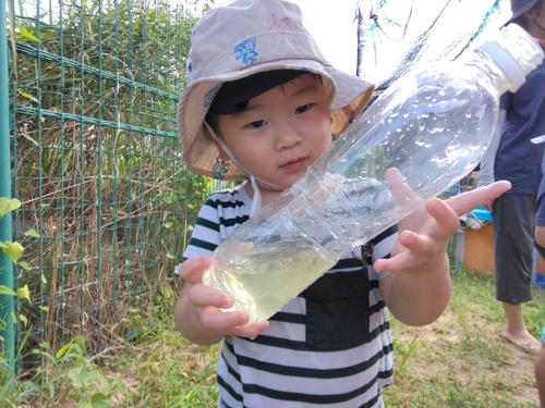 どろんこ遊びの様子 (2)