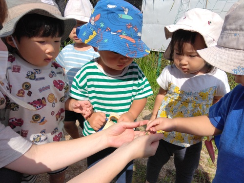 園庭で遊ぶ子ども (5)