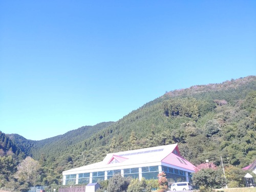 屋外訓練