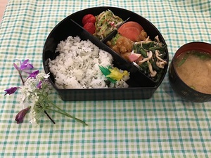 写真_2